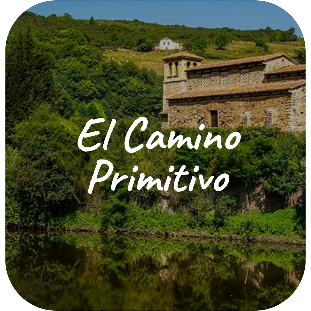 El Camino Primitivo