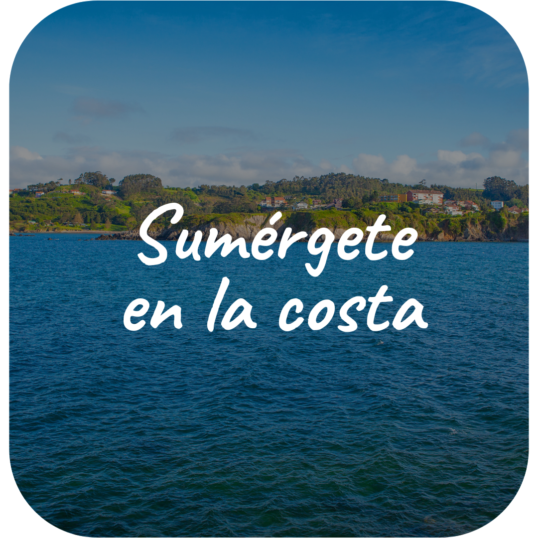 Sumérgete en la costa