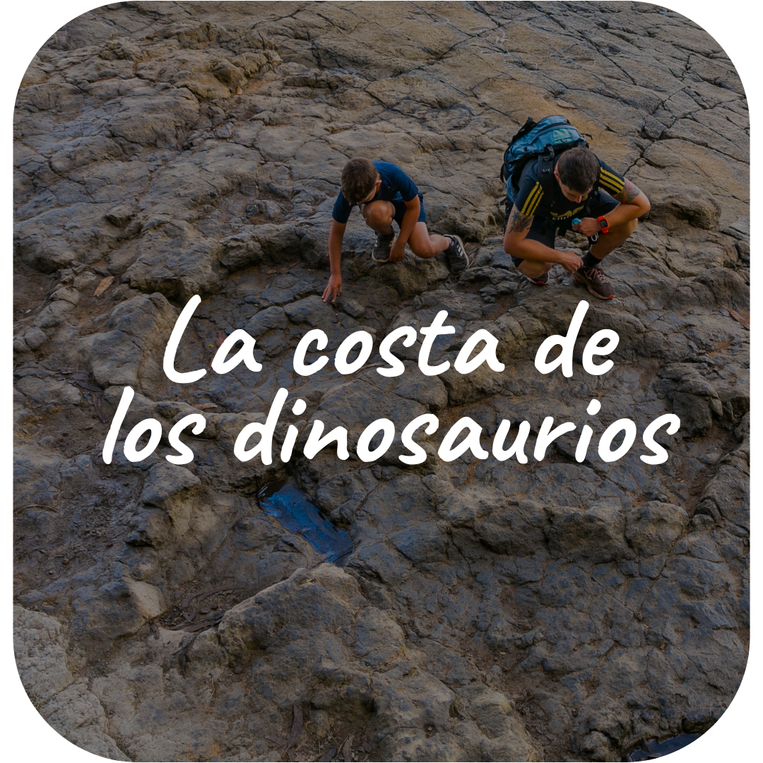 La costa de los dinosaurios