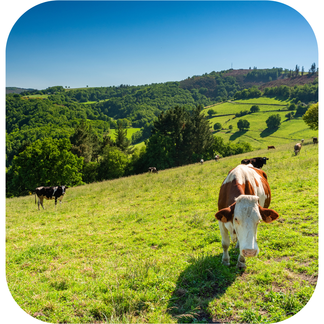 Imagen Portada Naturaleza y rutas en Asturias